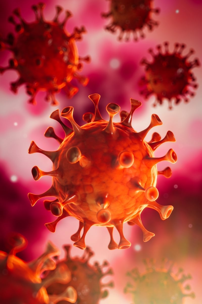 mumps-virus