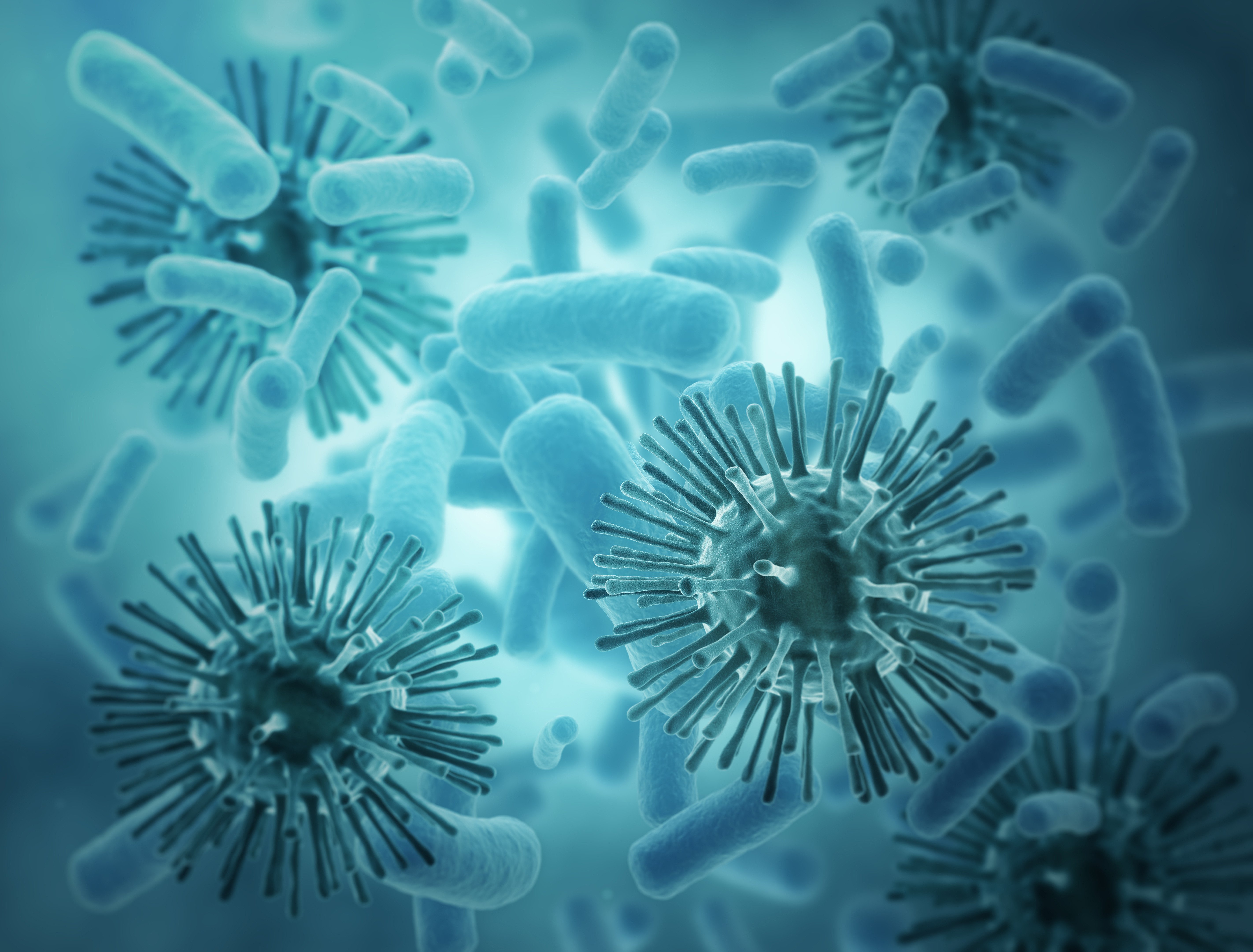 infectious diseases