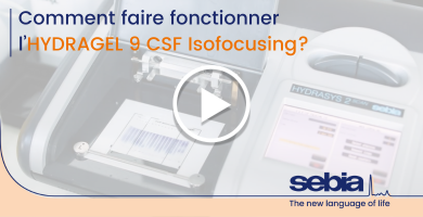 LP CSF_Video